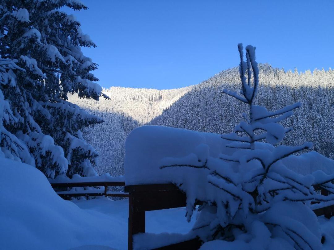 Cabana "Trei Brazi " Retezat Rîu de Mori Exteriér fotografie