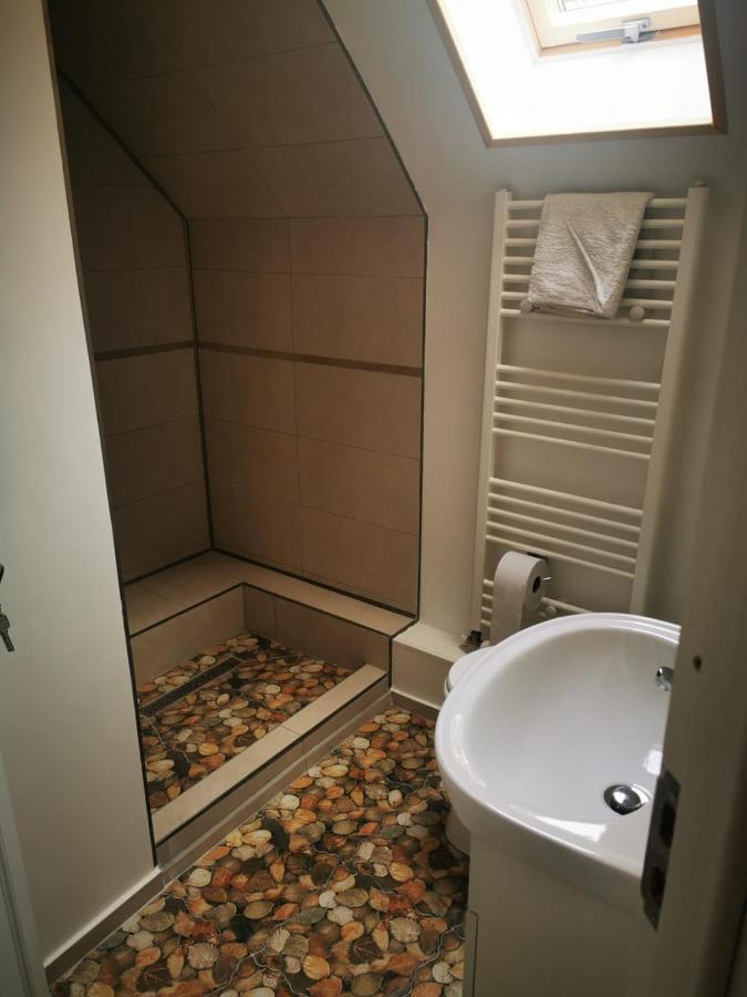 Cabana "Trei Brazi " Retezat Rîu de Mori Exteriér fotografie