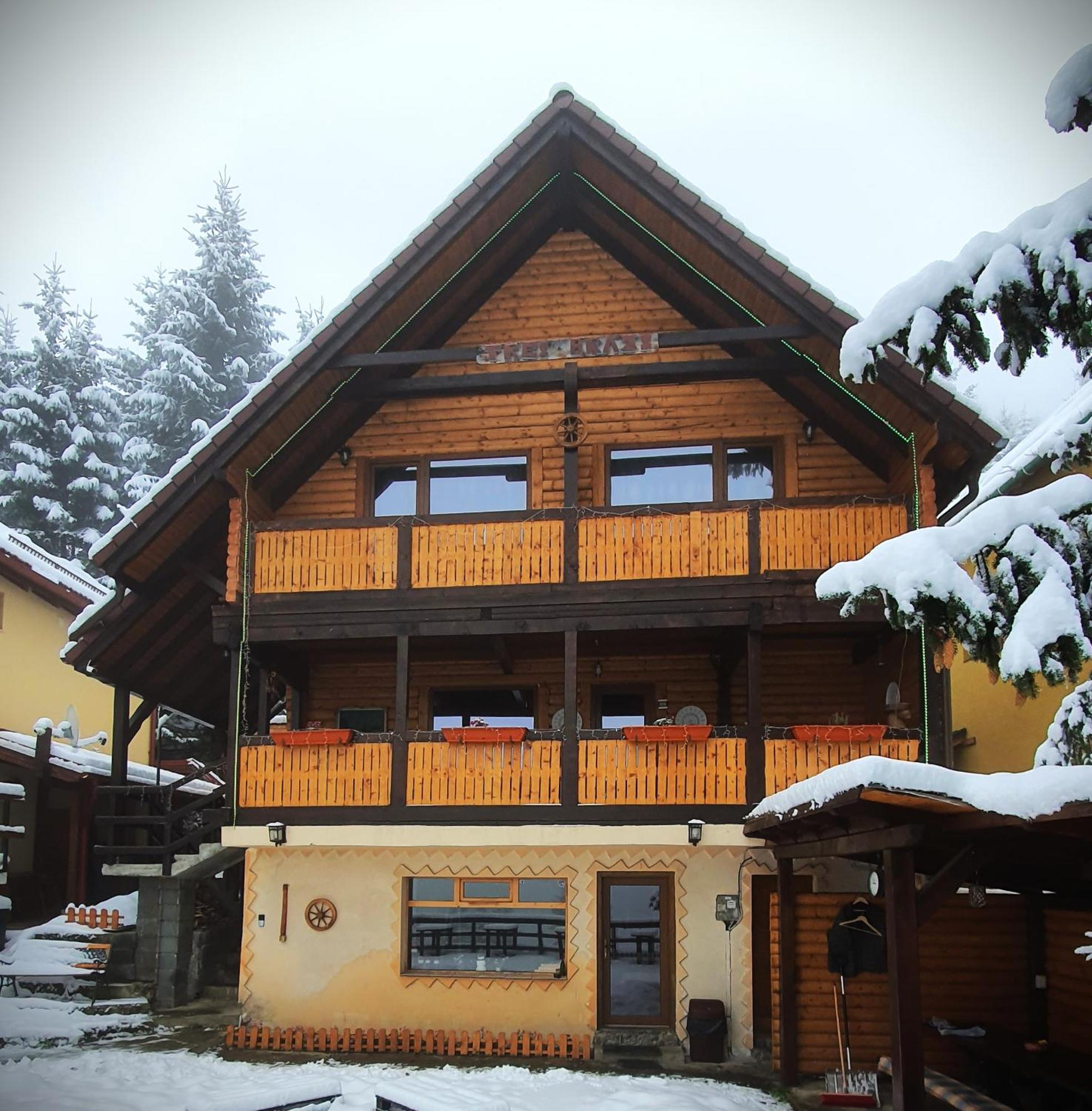Cabana "Trei Brazi " Retezat Rîu de Mori Exteriér fotografie