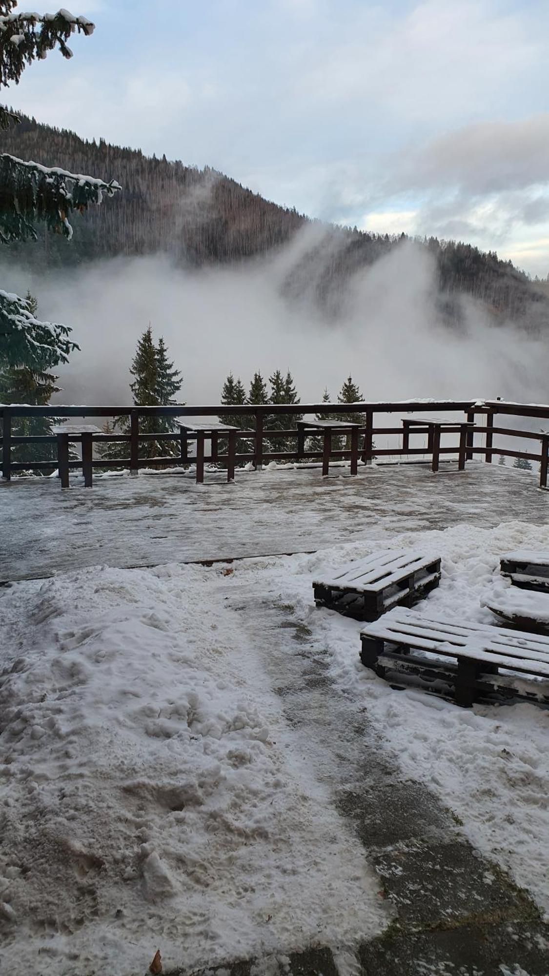 Cabana "Trei Brazi " Retezat Rîu de Mori Exteriér fotografie